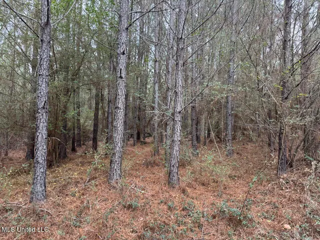 $39,000 | 699 Meadow Lane, Byram, MS 39272