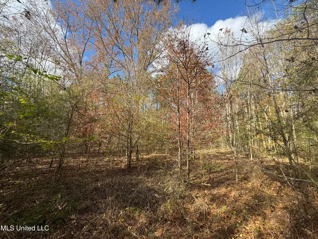 $44,000 | 699 Meadow Lane, Byram, MS 39272