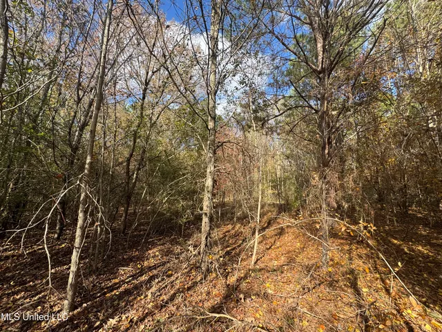 $44,000 | 699 Meadow Lane, Byram, MS 39272