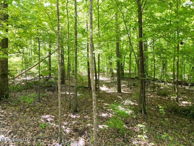 $39,000 | 699 Meadow Lane, Byram, MS 39272