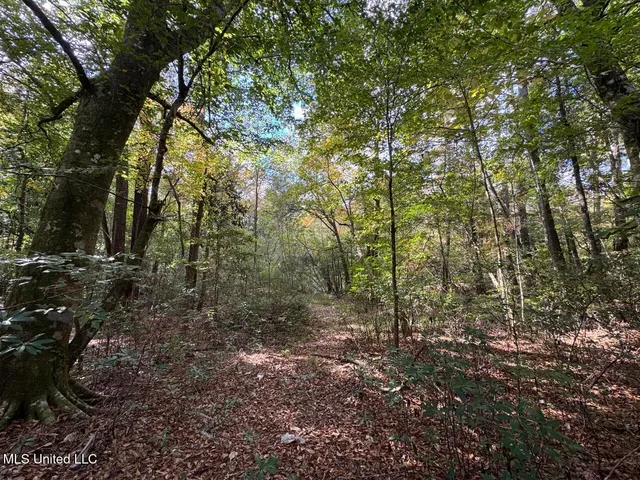 $39,000 | 699 Meadow Lane, Byram, MS 39272