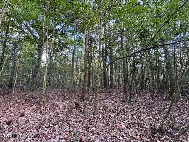 $39,000 | 699 Meadow Lane, Byram, MS 39272