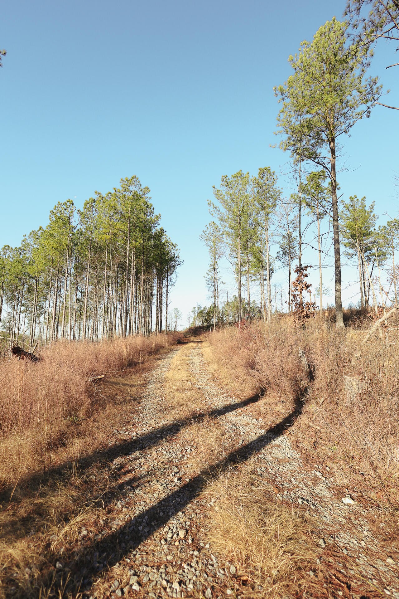 0 Hobe Colbaugh Road Decatur, TN 37322 - Photo 36 of 50 Gallery Image 36