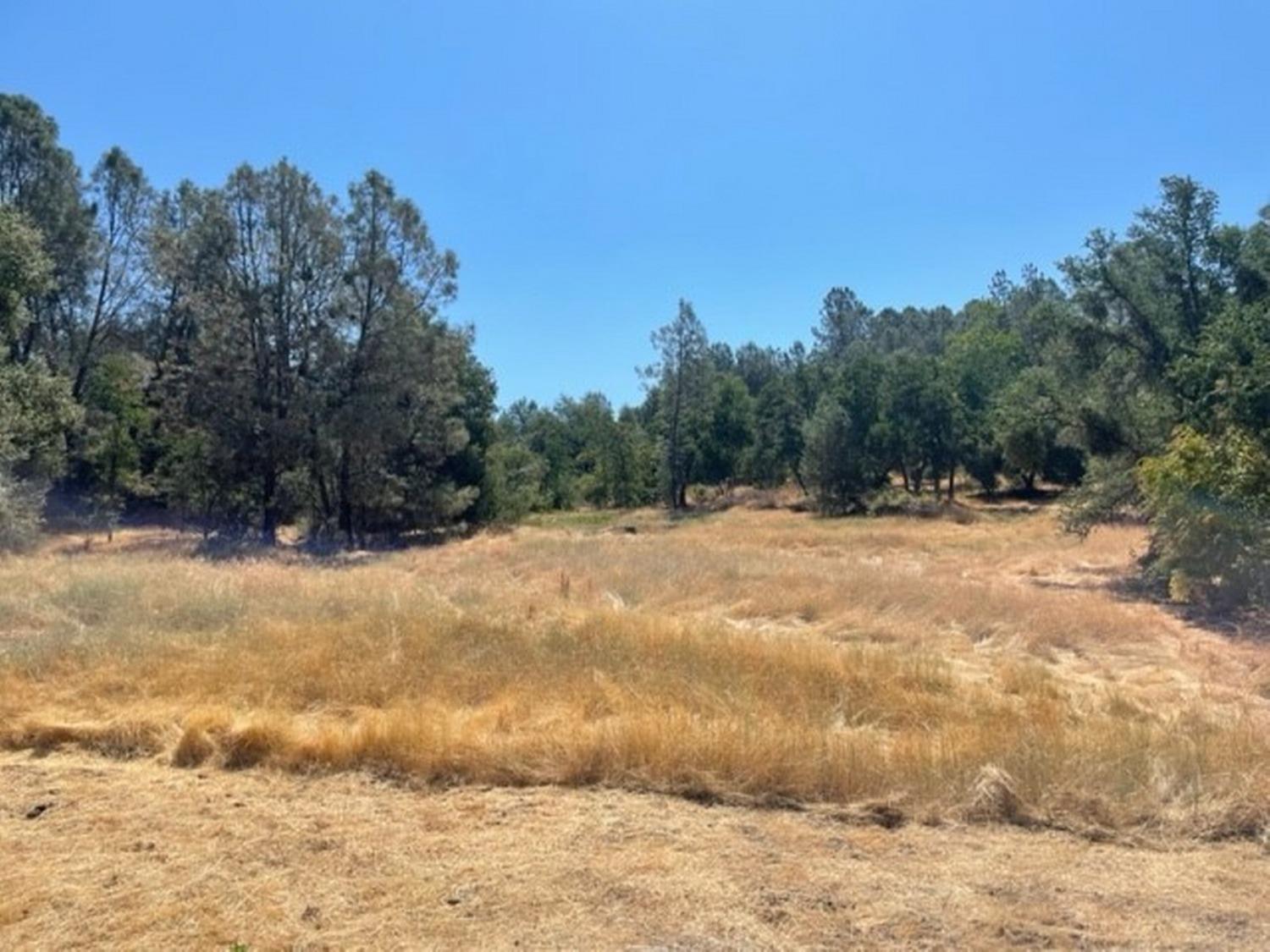31661 Duke Road North Fork, CA 93643 - Photo 31 of 41 Gallery Image 31