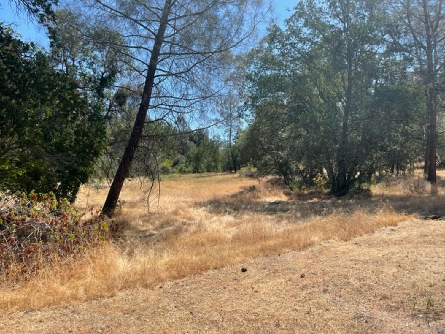 31661 Duke Road North Fork, CA 93643 - Photo 33 of 41 Gallery Image 33