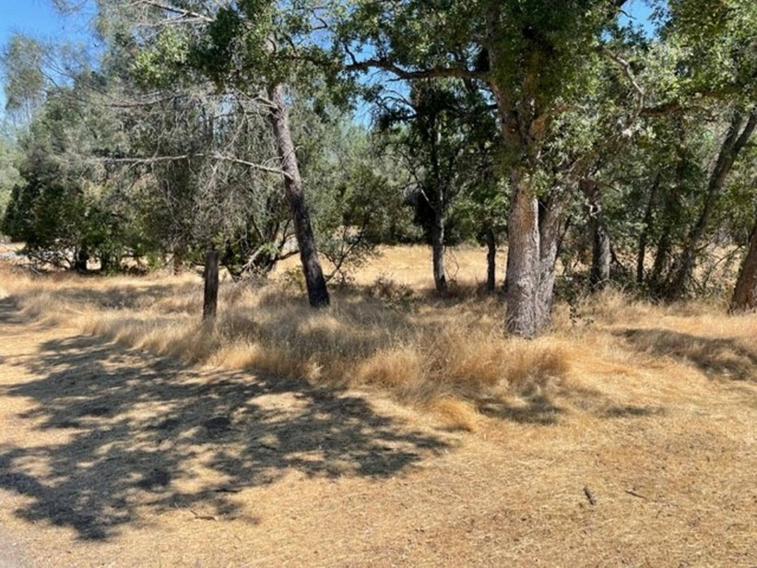 31661 Duke Road North Fork, CA 93643 - Photo 36 of 41 Gallery Image 36