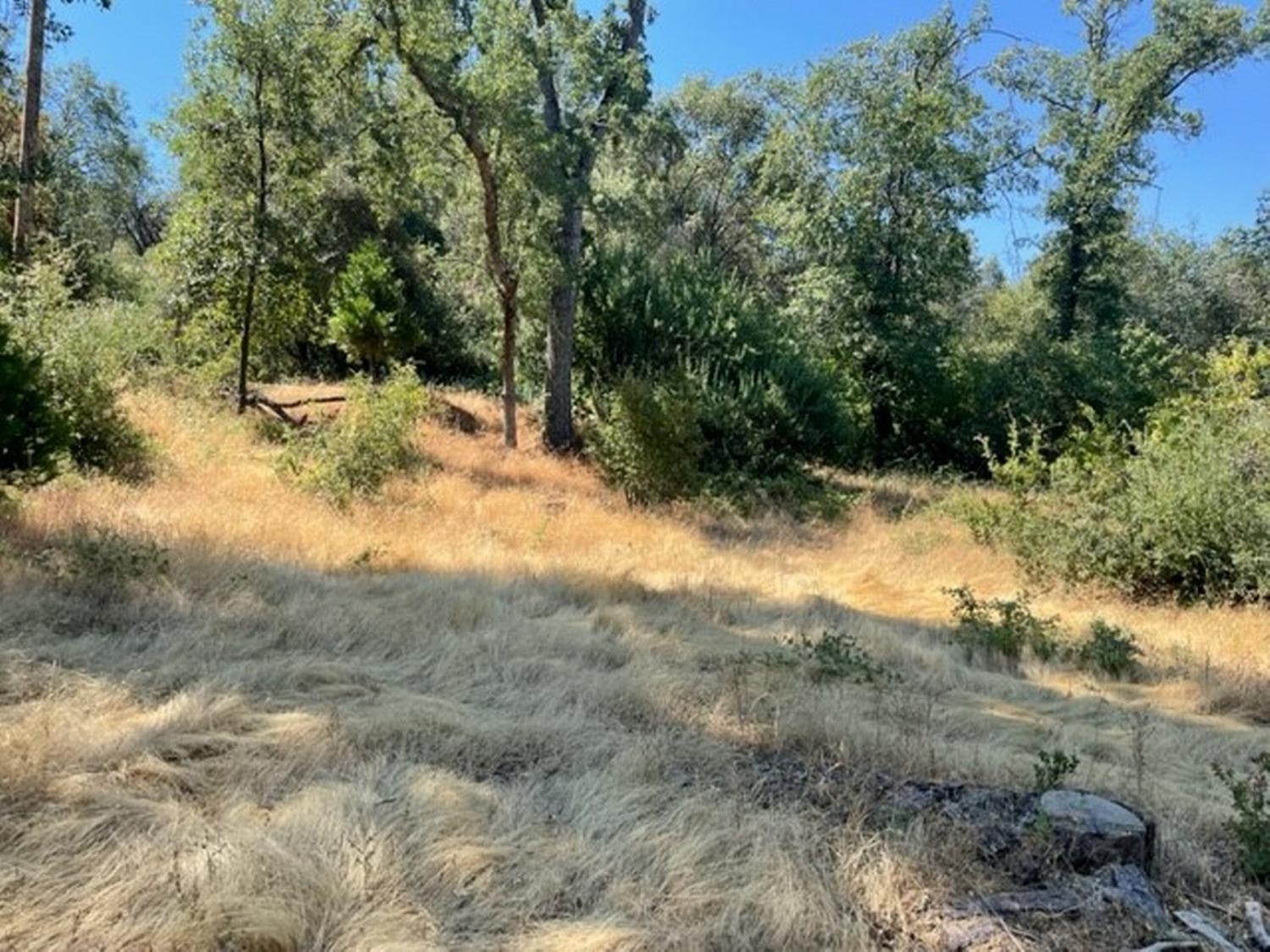 31661 Duke Road North Fork, CA 93643 - Photo 41 of 41 Gallery Image 41