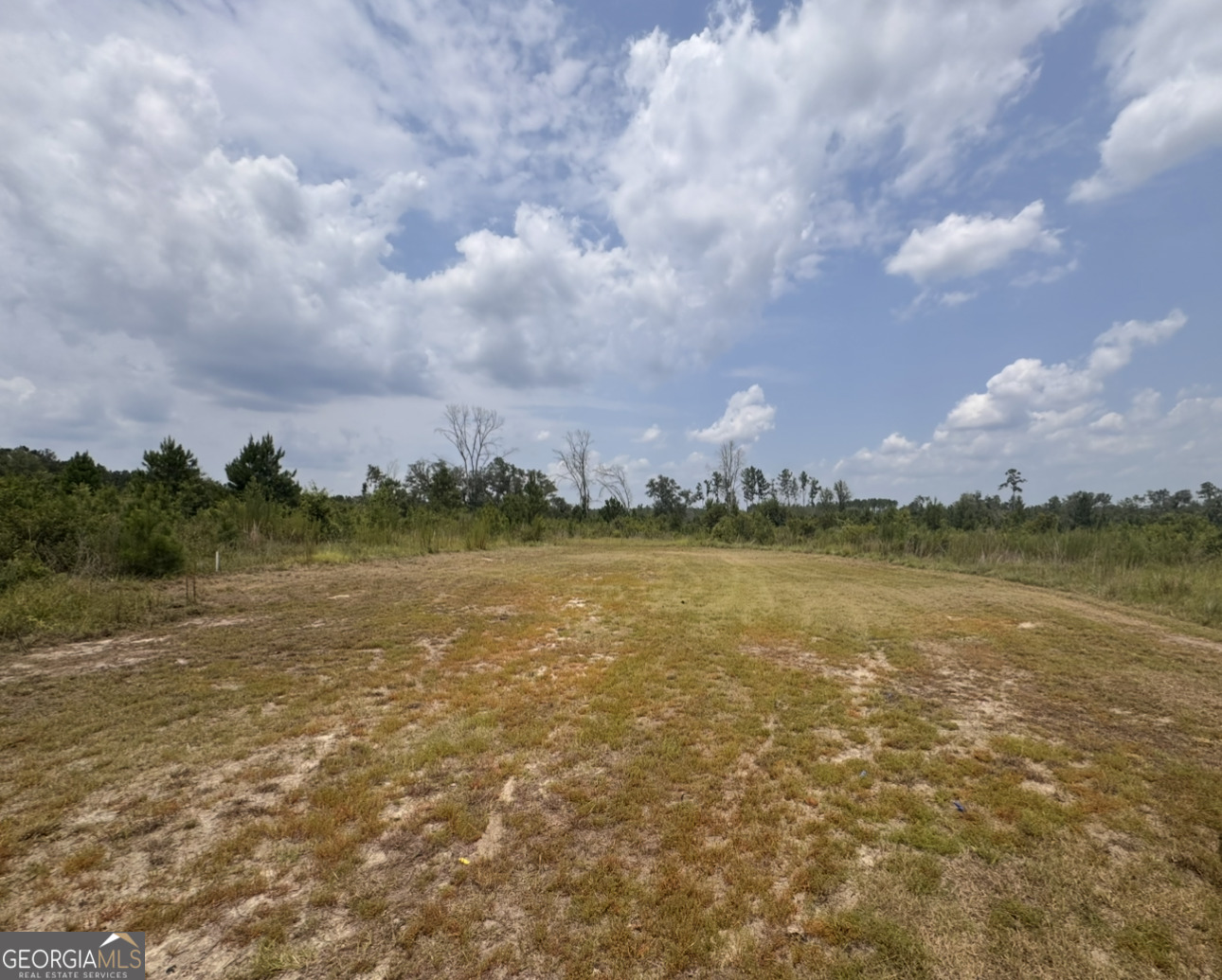 0 Rose Hollow Road Lyons, GA 30436 - Photo 3 of 4 Gallery Image 3