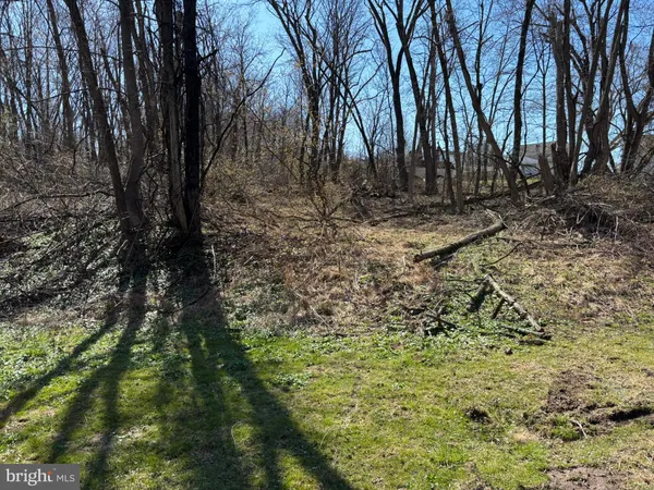 a view of backyard with large trees