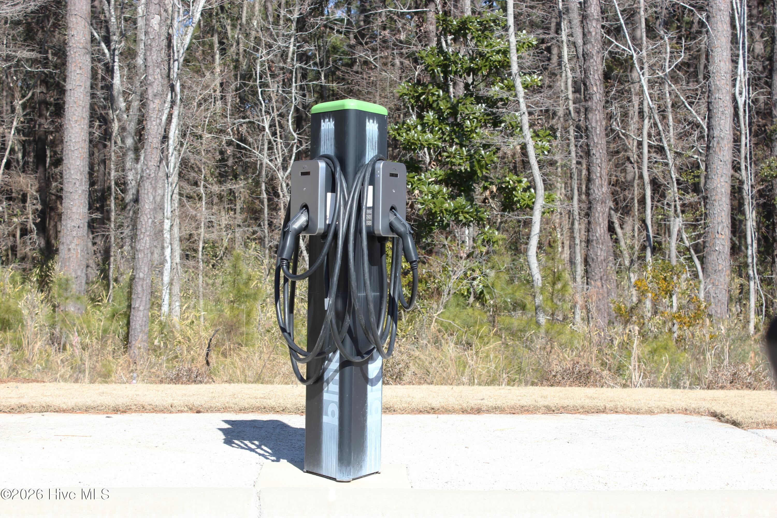 163 Freedom Park Road Beaufort, NC 28516 - Photo 39 of 39 Car Charging Station
