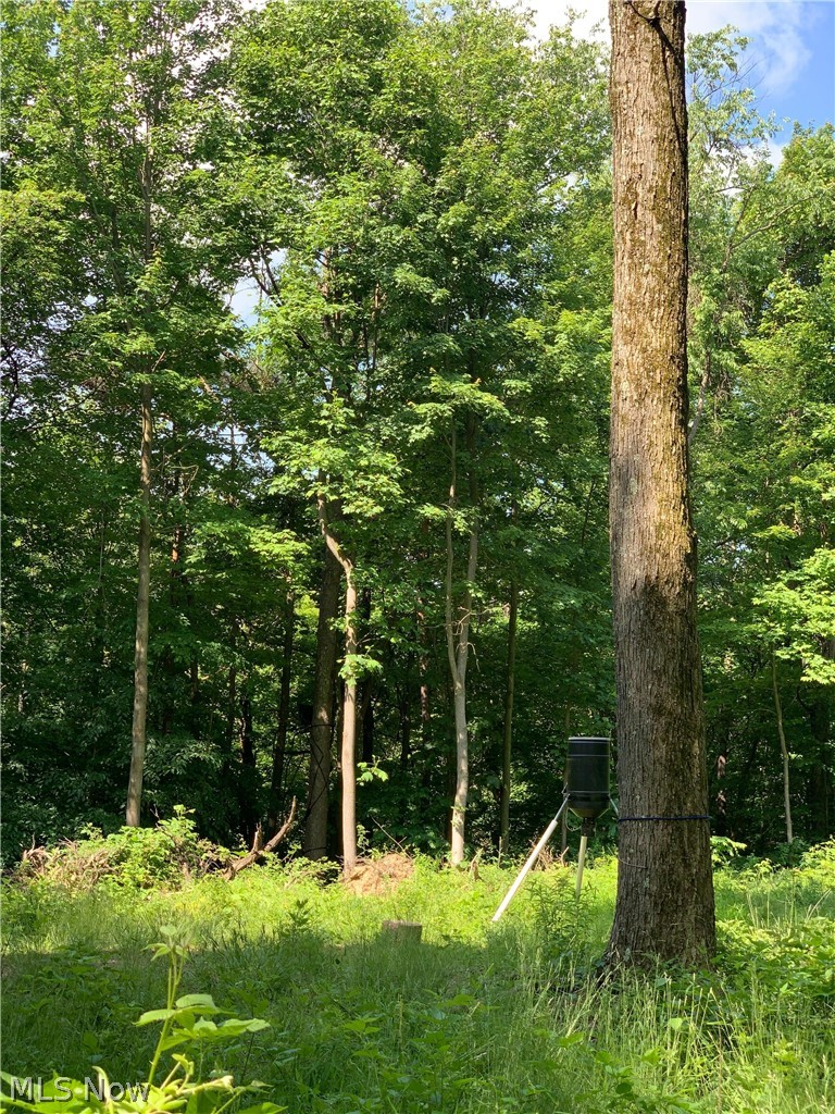 Tabor Ridge Road Mineral City, OH 44656 - Photo 24 of 33 Gallery Image 24