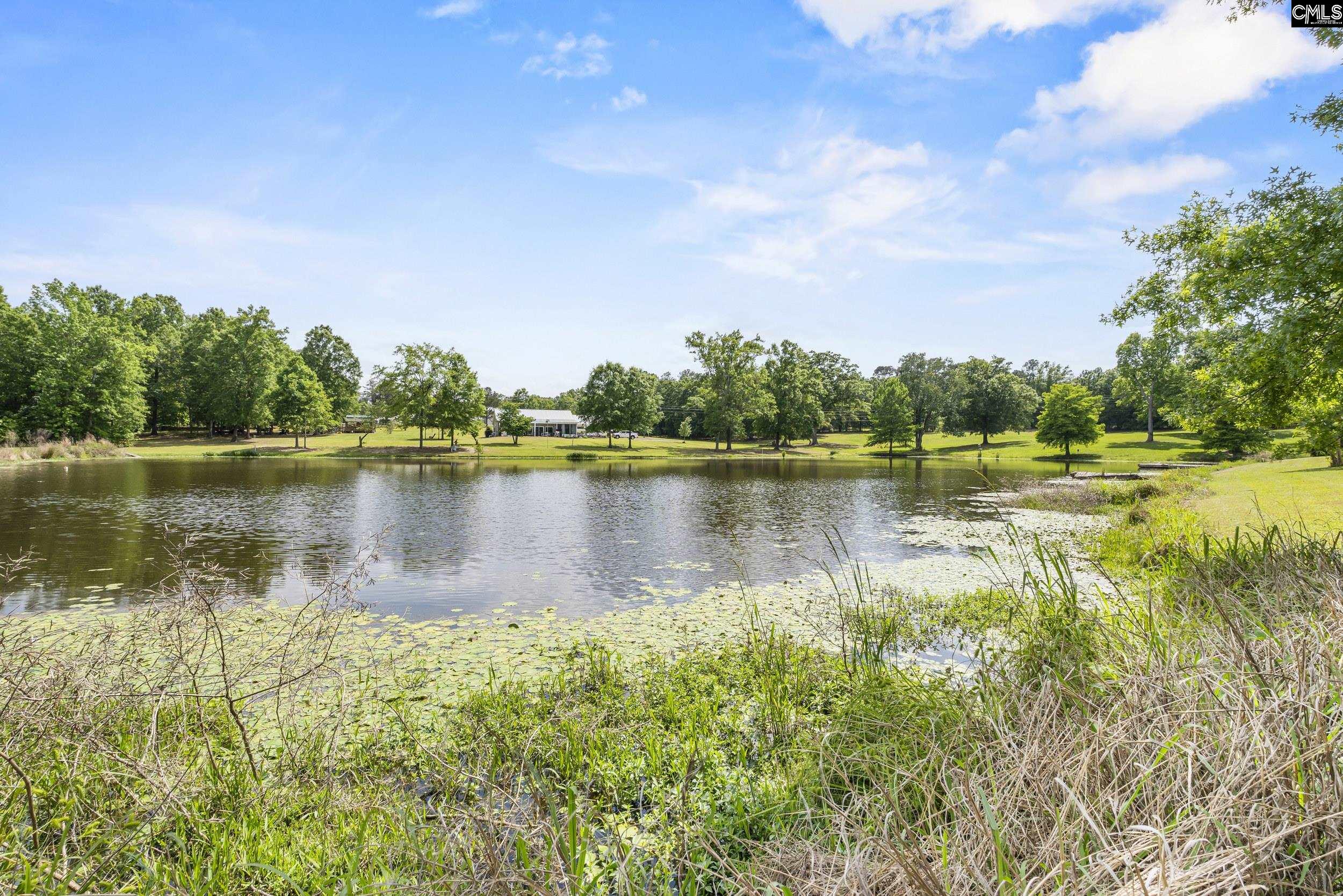 228 Shady Springs Road Prosperity, SC 29127 - Photo 56 of 58