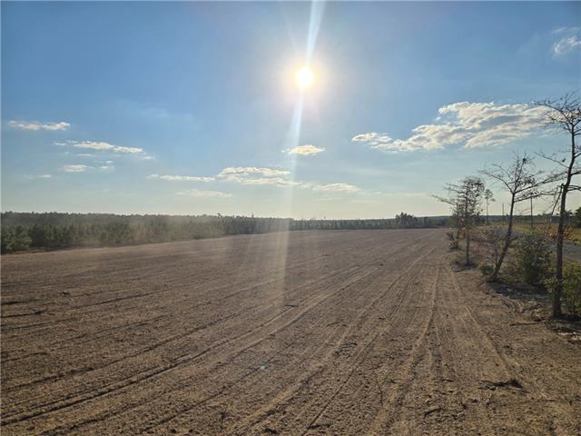2 Elengton Road Deridder, LA 70634 - Photo 4 of 5