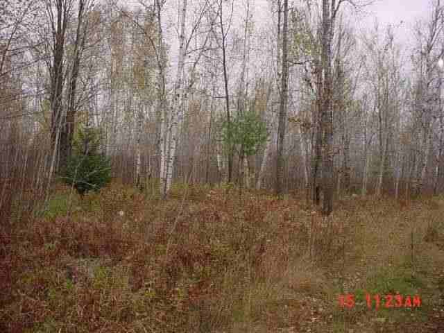 Xx County Rd 3 Hinckley, MN 55037 - Photo 4 of 4 Gallery Image 4