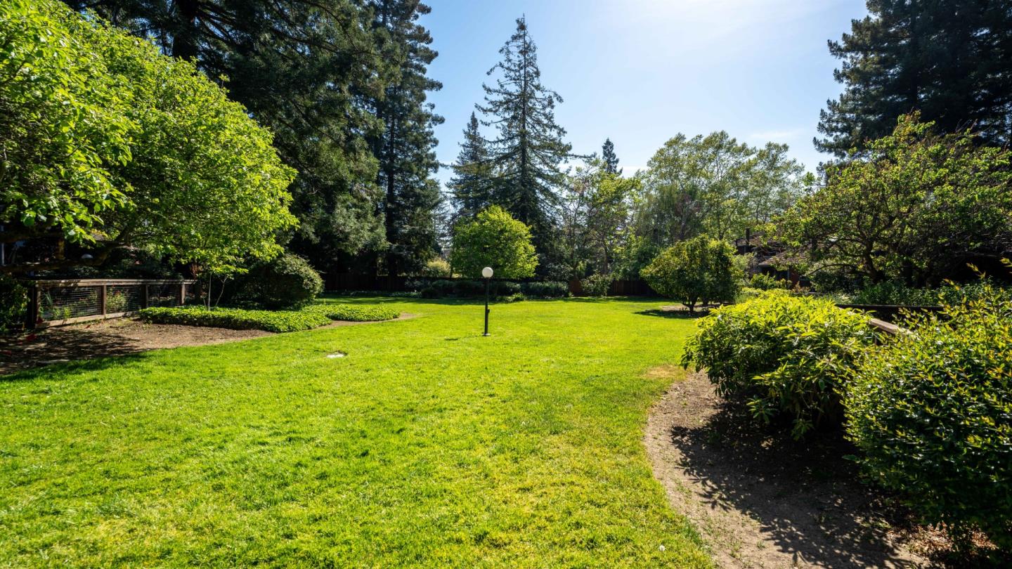 220 Central Avenue Mountain View, CA 94043 - Photo 18 of 22 a view of a garden with a bench