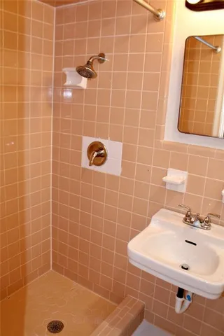 a bathroom with a sink a shower and a mirror