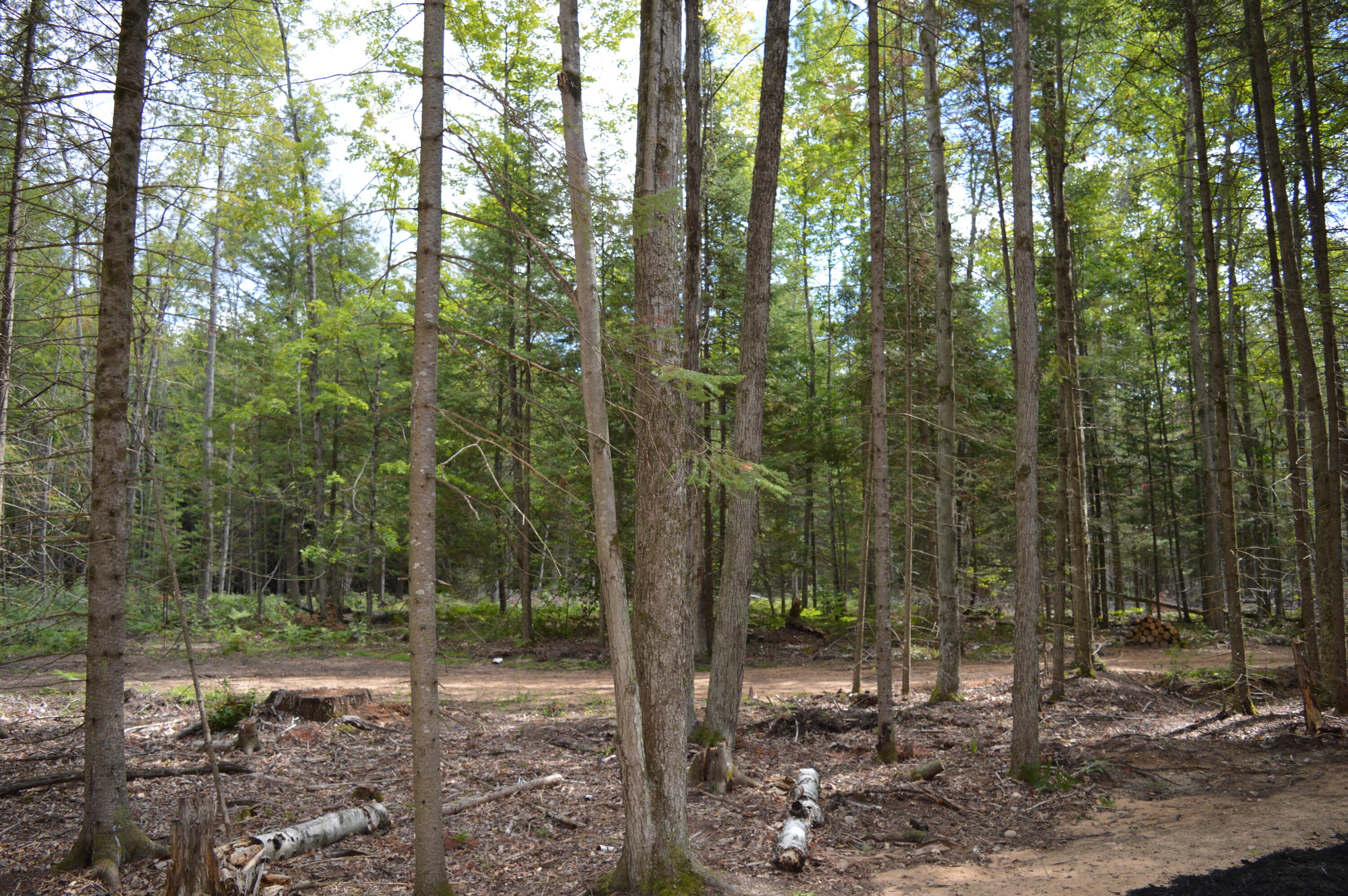East County Line Road South Branch, MI 48761 - Photo 28 of 87 Gallery Image 28