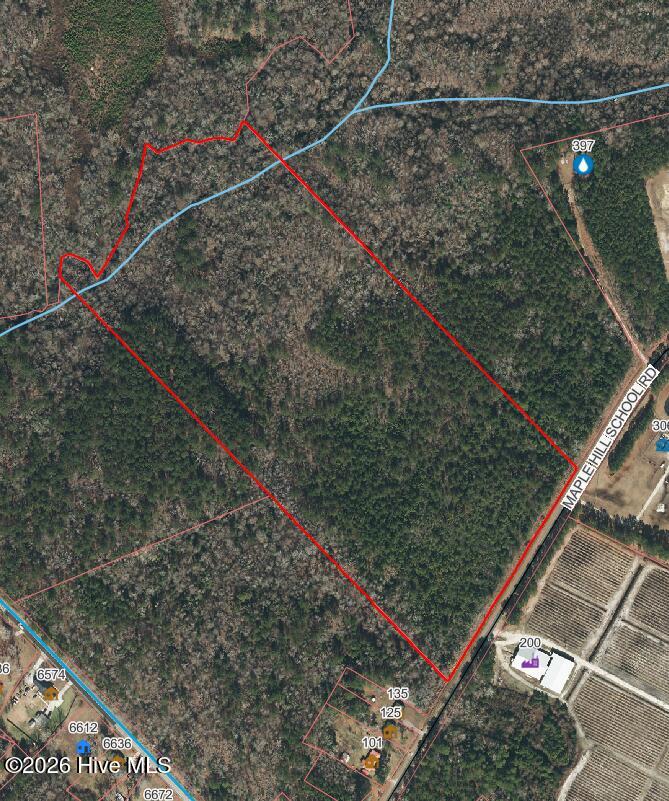 28-ac Maple Hill School Road Maple Hill, NC 28454 - Photo 13 of 20