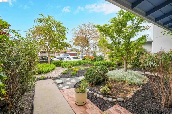 a view of a pathway with a tree