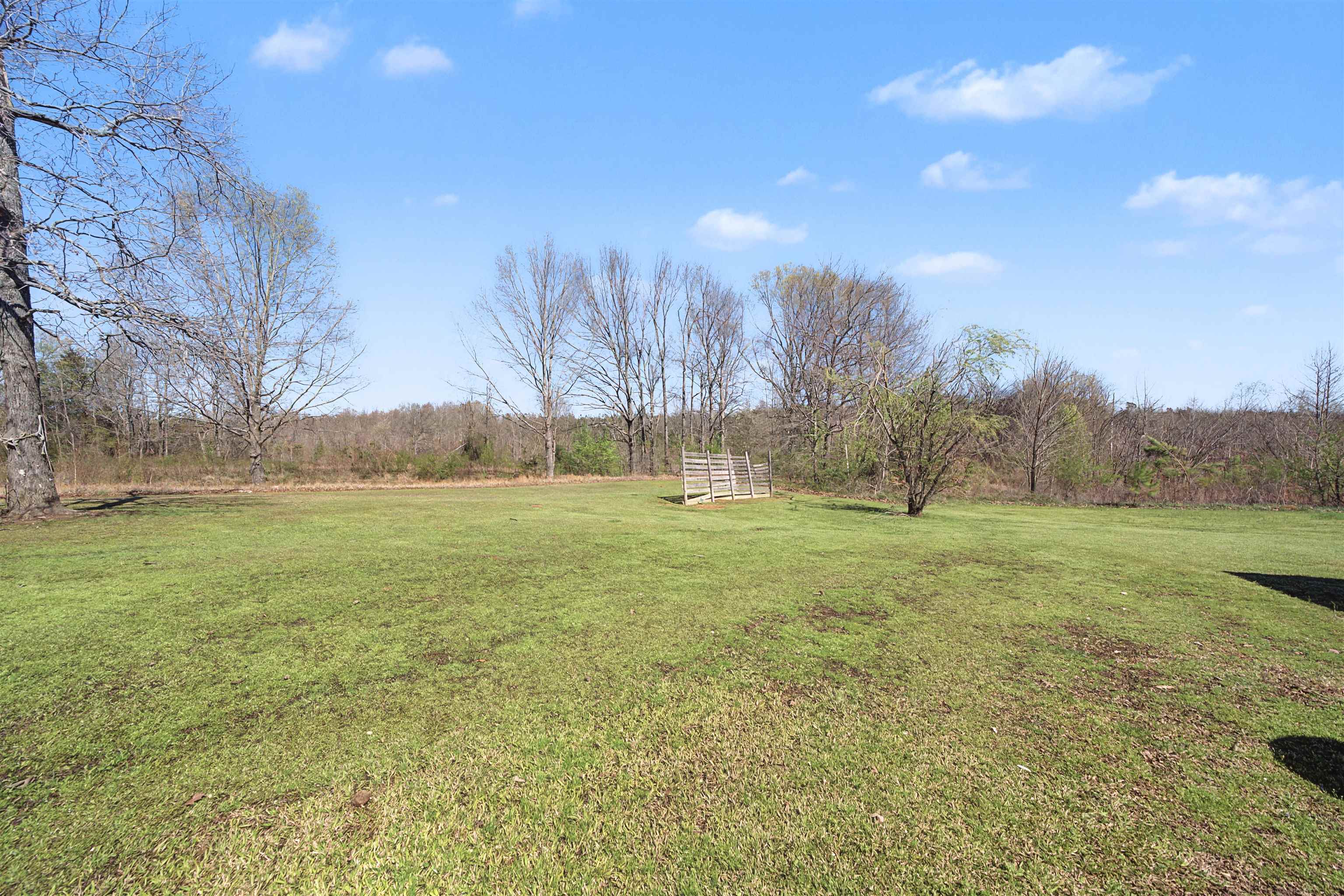 1788 Nichols Road Guys, TN 38339 - Photo 6 of 21 View of grassy yard