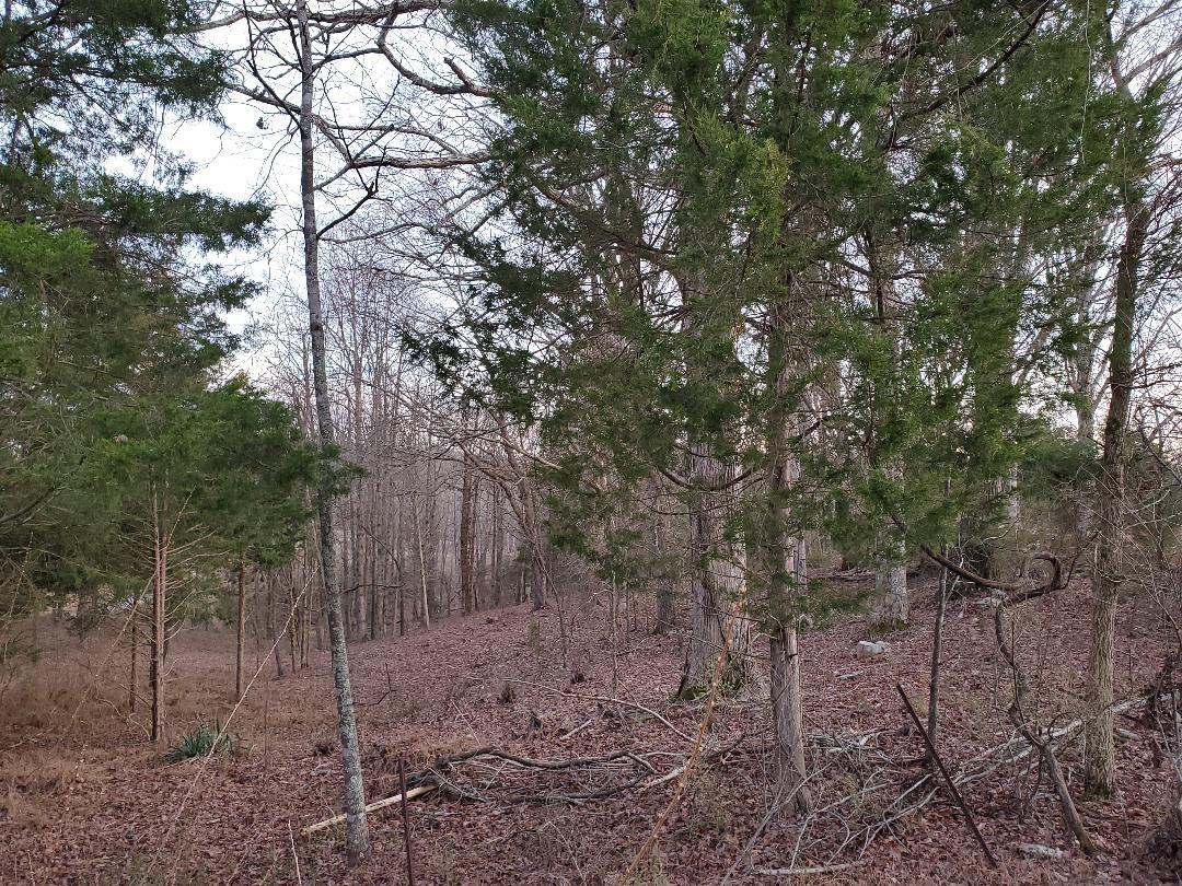 Lot 6 Fairview Road Lenoir City, TN 37772 - Photo 3 of 7 6 Fairview 2