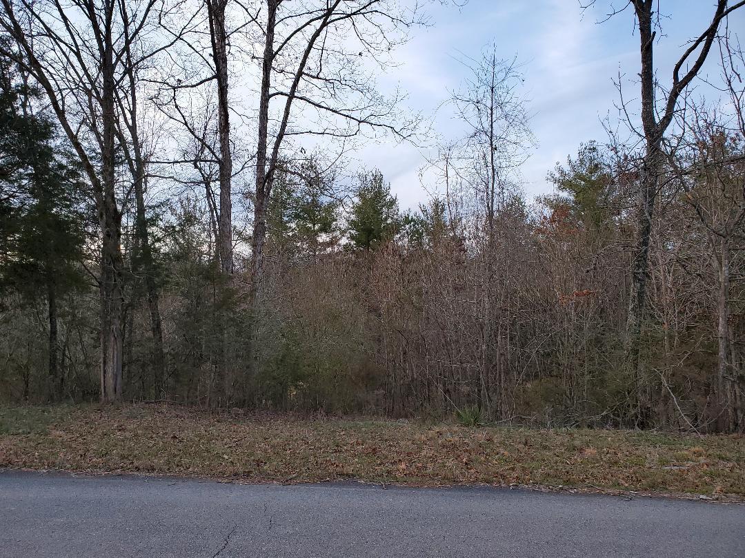 Lot 6 Fairview Road Lenoir City, TN 37772 - Photo 4 of 7 6 Fairview 3 across road