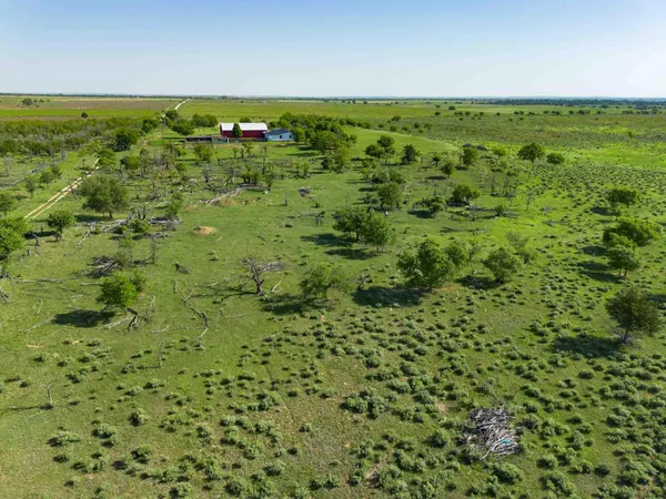 a view of a field with an ocean
