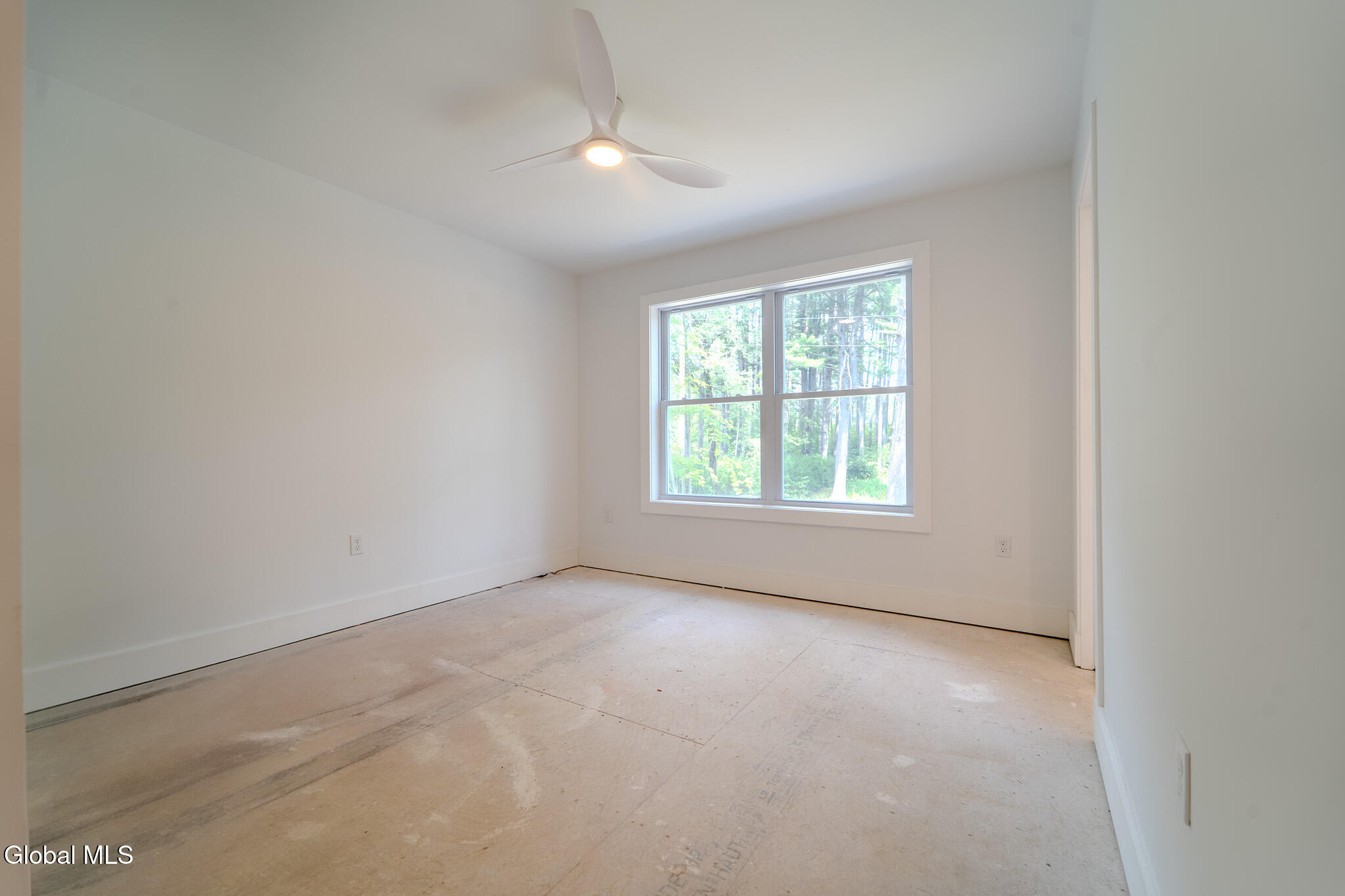 233 Pinewood Avenue Schenectady, NY 12303 - Photo 28 of 50 MIG00601-HDR