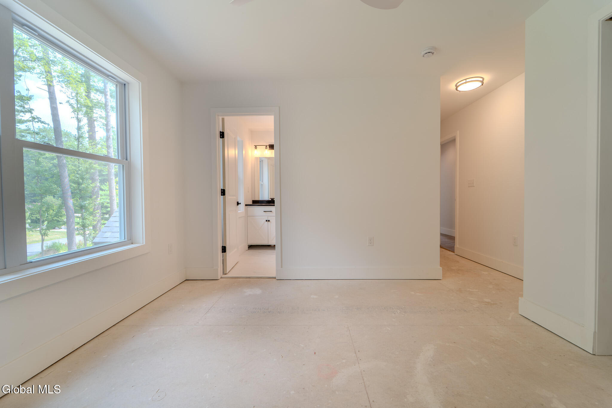 233 Pinewood Avenue Schenectady, NY 12303 - Photo 30 of 50 MIG00610-HDR