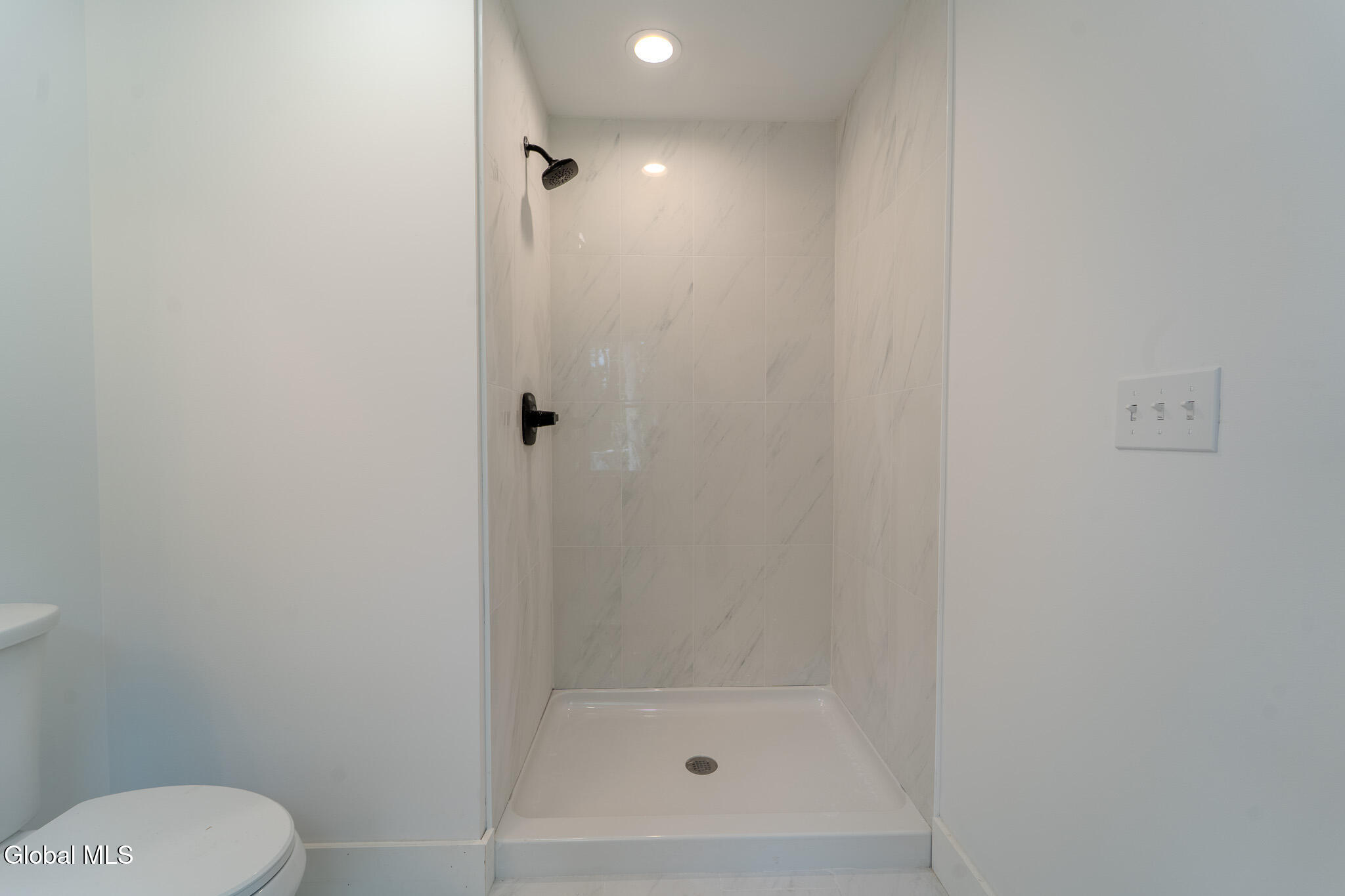 233 Pinewood Avenue Schenectady, NY 12303 - Photo 32 of 50 MIG00628-HDR