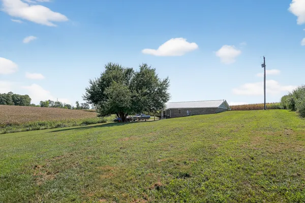 a view of a green field with trees in the background