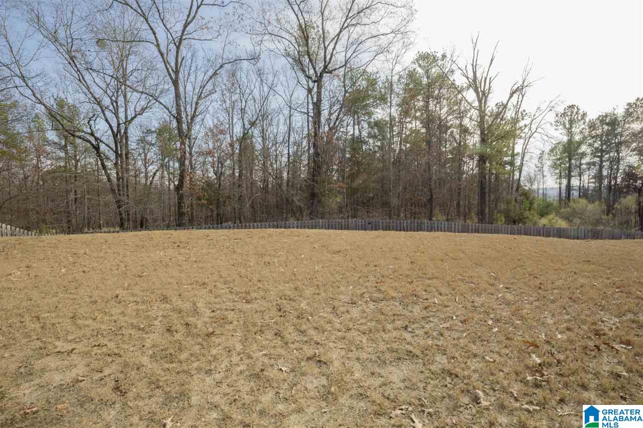 1073 Savannah Lane Calera, AL 35040 - Photo 5 of 49