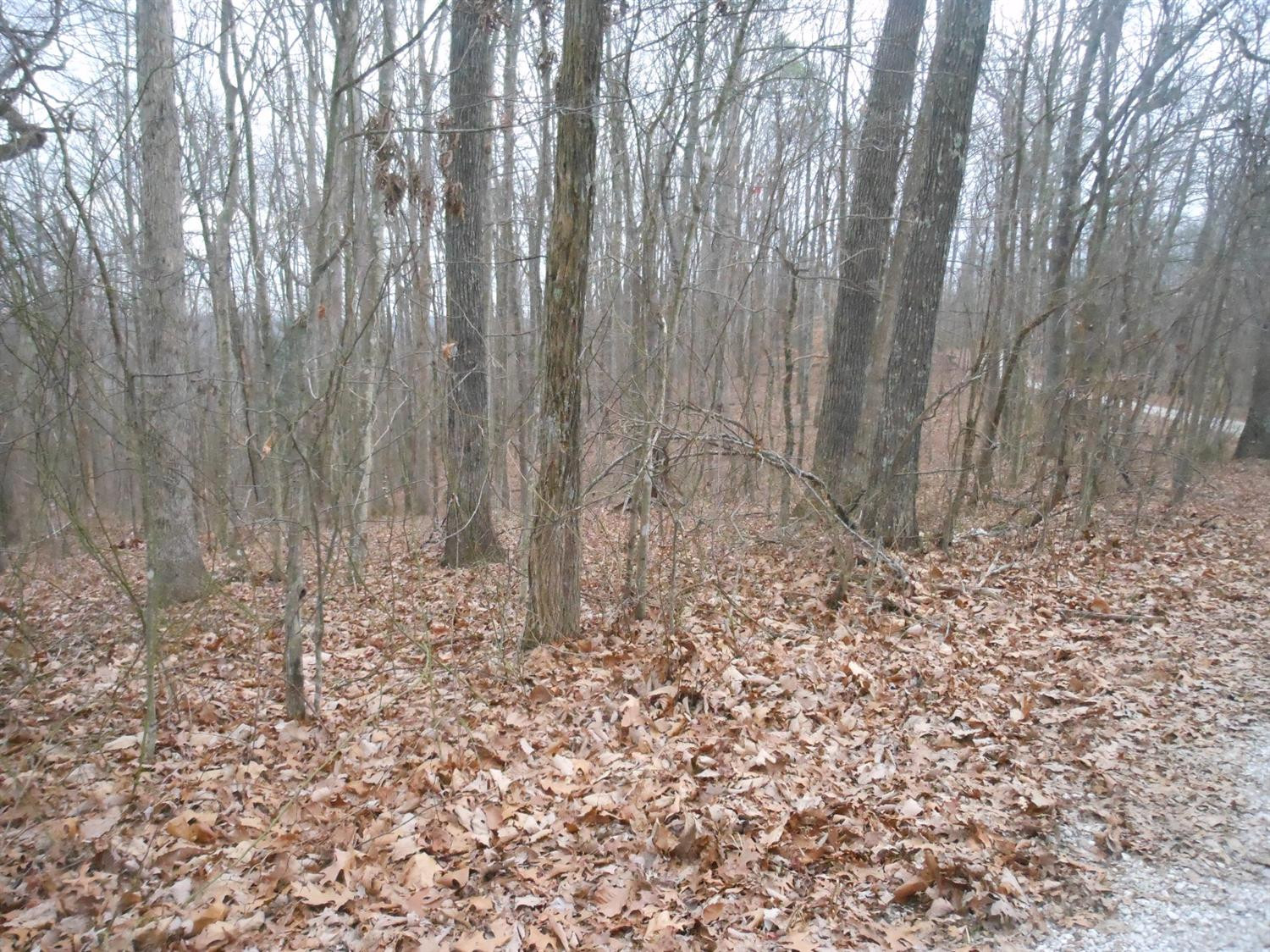 100 Amos Ridge Road Frenchburg, KY 40322 - Photo 6 of 11 Photo 6