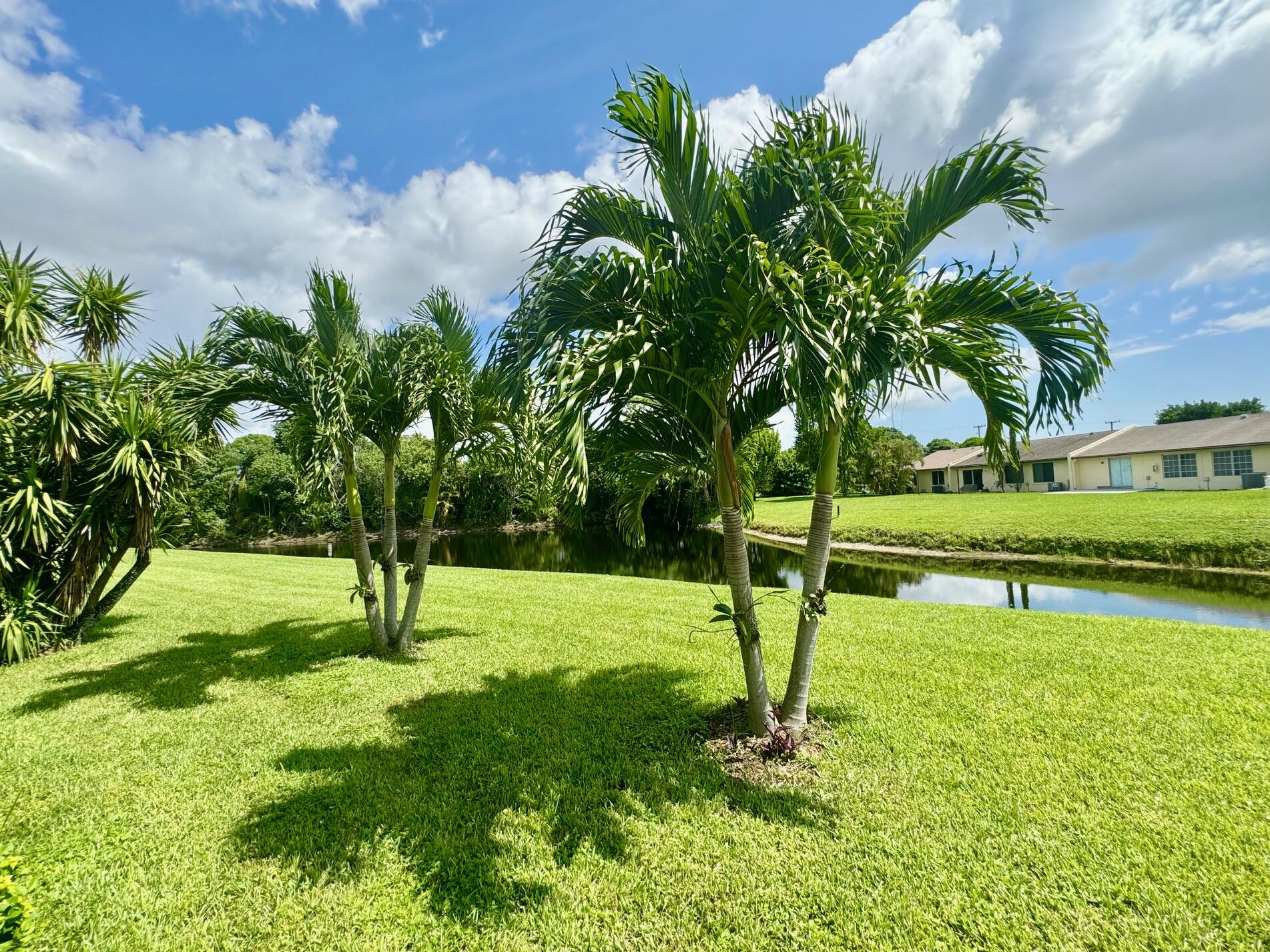 15852 Laurel Oak Circle Delray Beach, FL 33484 - Photo 34 of 42 BACK POND VIEW