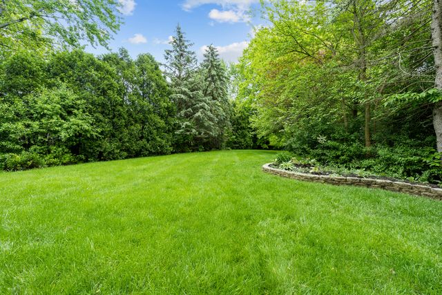 a view of a trees with a yard