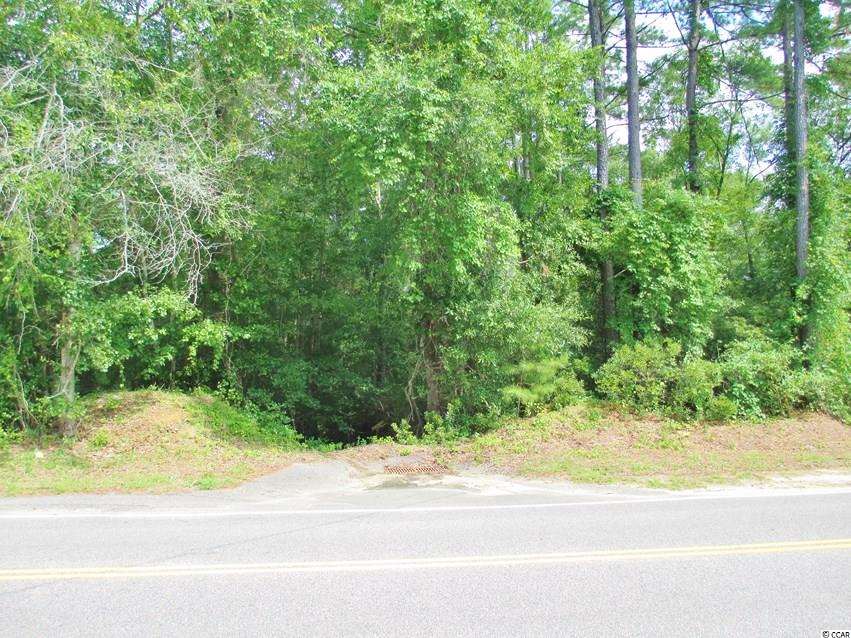 Willow Springs Road Conway, SC 29527 - Photo 1 of 10