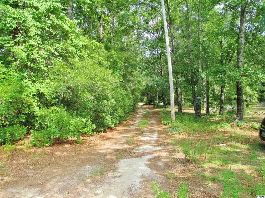 Willow Springs Road Conway, SC 29527 - Photo 2 of 10
