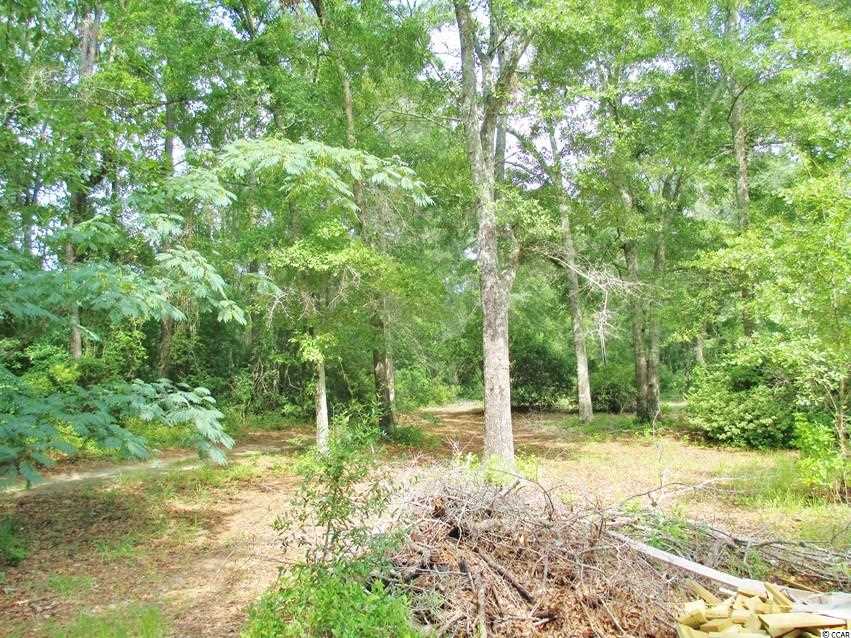 Willow Springs Road Conway, SC 29527 - Photo 3 of 10