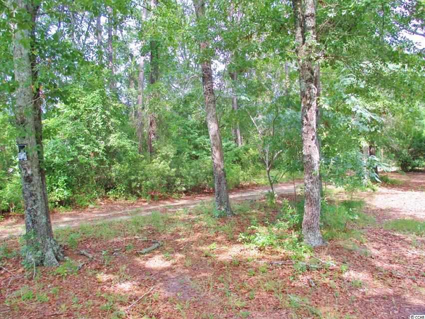 Willow Springs Road Conway, SC 29527 - Photo 4 of 10