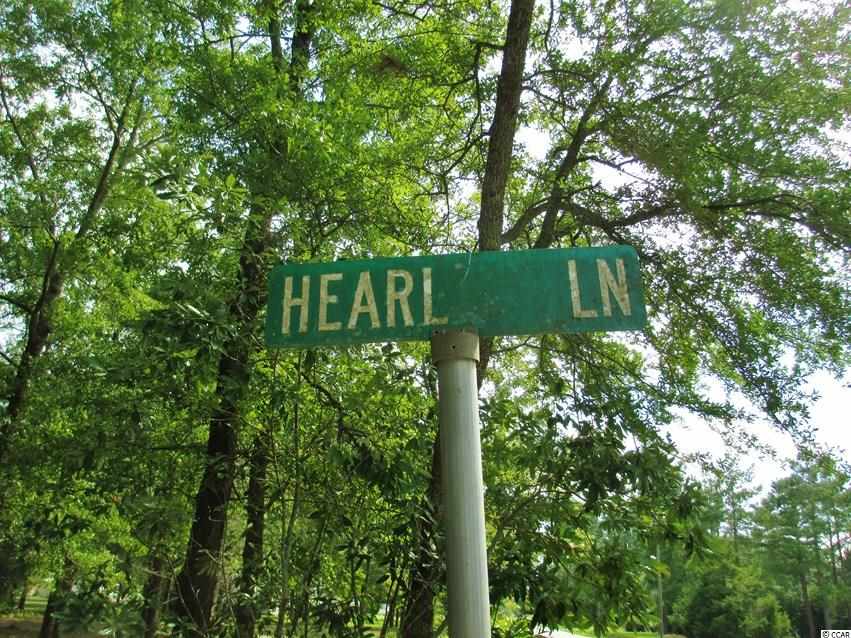 Willow Springs Road Conway, SC 29527 - Photo 5 of 10