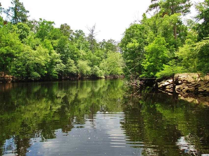 Willow Springs Road Conway, SC 29527 - Photo 7 of 10