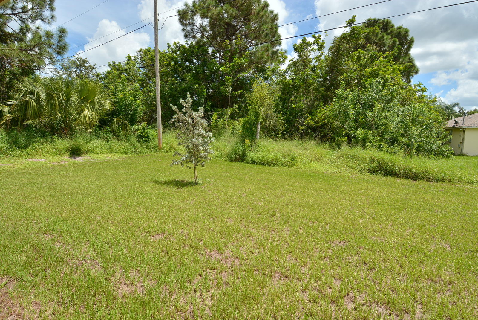 199 Southwest Ridgecrest Drive Port St. Lucie, FL 34953 - Photo 51 of 54 Yard