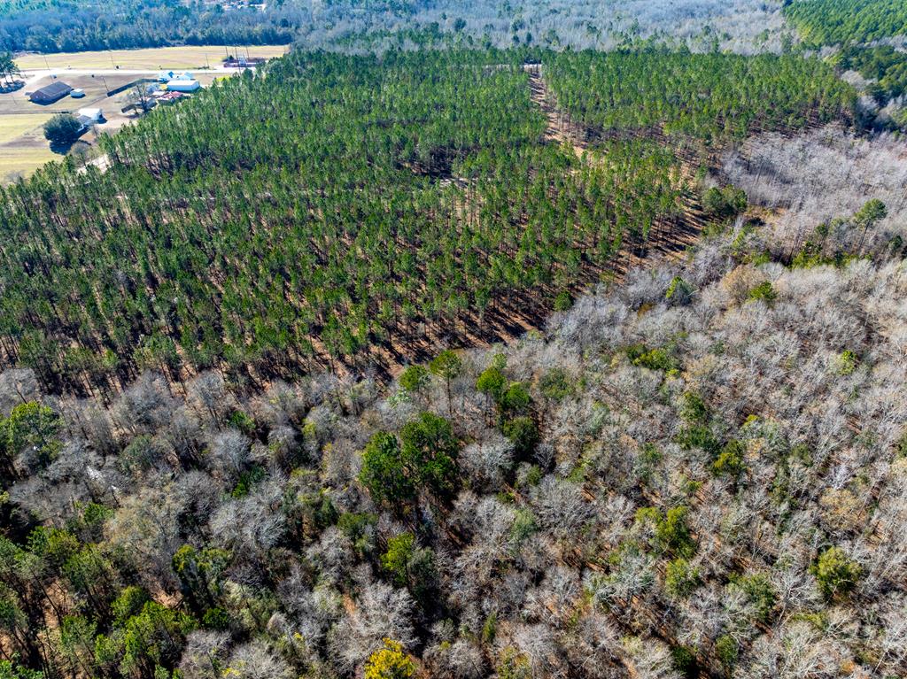 Lot 3-15 -ac Cottonwood Rd/ Phillips Road Cottonwood, AL 36320 - Photo 41 of 49