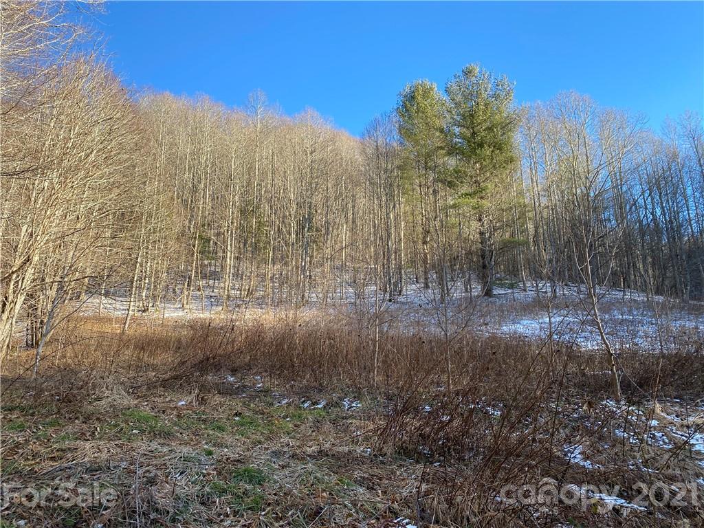 Tbd Mountain Springs Road Mars Hill, NC 28754 - Photo 24 of 29 a view of a yard with trees in the background