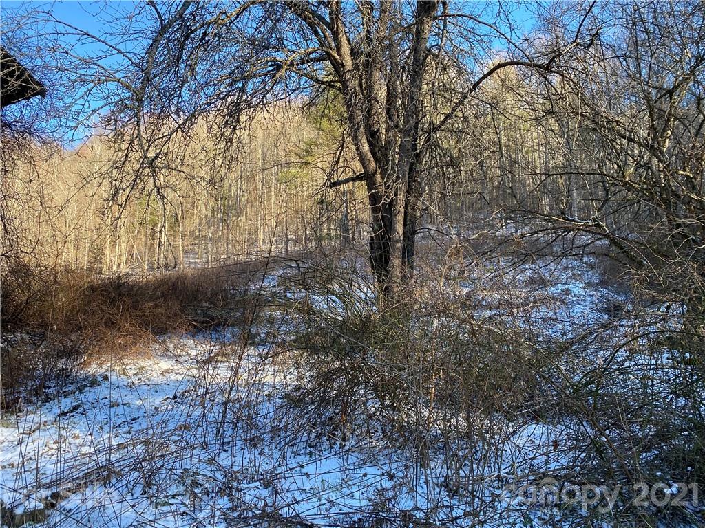 Tbd Mountain Springs Road Mars Hill, NC 28754 - Photo 27 of 29 a view of outdoor space and a yard