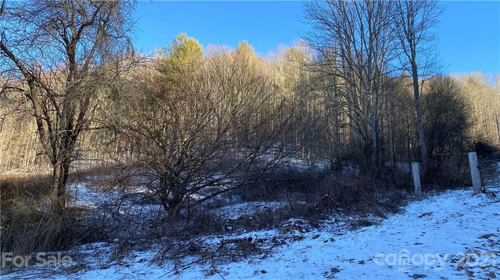 Tbd Mountain Springs Road Mars Hill, NC 28754 - Photo 28 of 29 a view of a yard