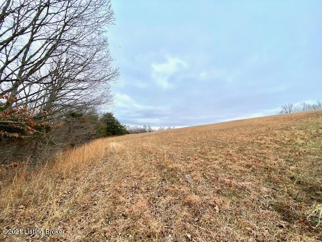 11000 Anneta Road Leitchfield, KY 42754 - Photo 8 of 34 field 2