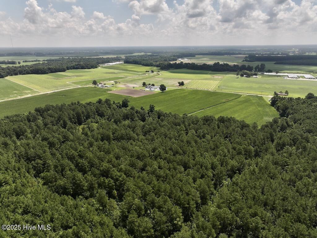 5 Albritton Road Snow Hill, NC 28580 - Photo 15 of 30 12