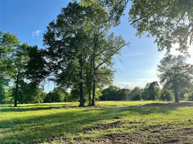 a view of a big yard with a large trees