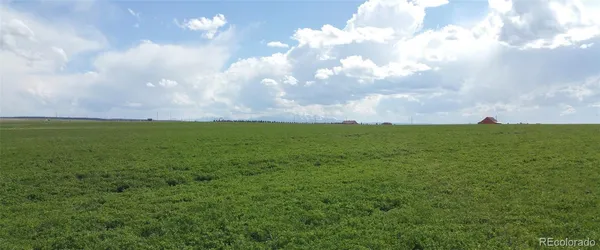 a view of a big yard with lots of bushes